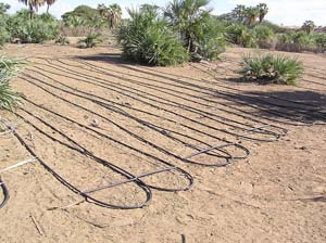 Layout of a localized or drip irrigation system
