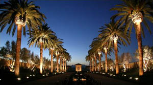 Entry roadway with median and large palm trees illuminated with uplights by our Orlando Commercial Lighting specialists